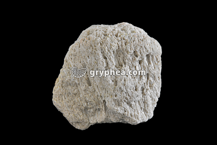 Ponce volcanique naturelle - gryphea.com